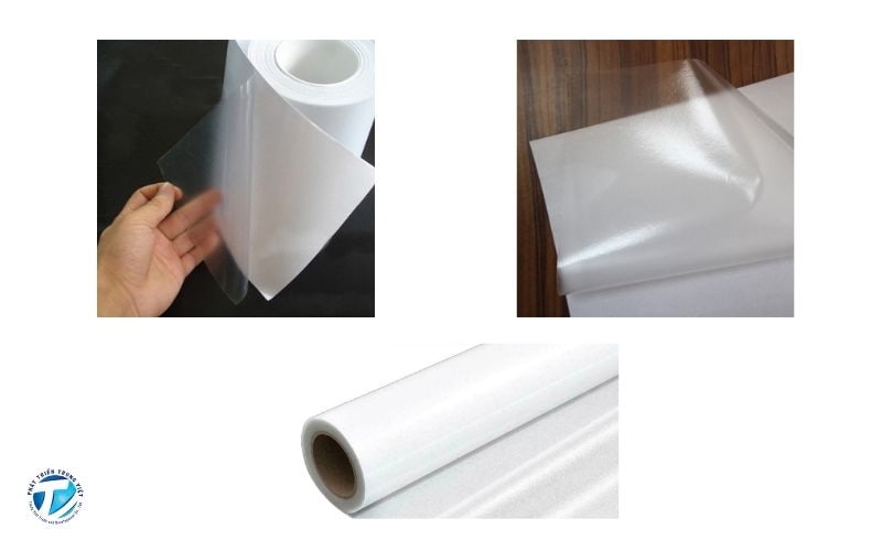 Các loại decal trong dán kính ưa chuộng hiện nay